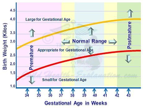 Newborn Growth Pattern Varies With the Weight of Baby at Birth