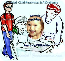 Disability Benefits Help Optimal Parenting of Disabled Children