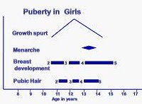 Stages of Puberty in Girls