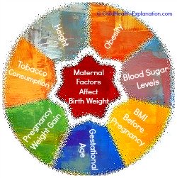 Maternal Factors That Influence Birth Weight Of The Baby