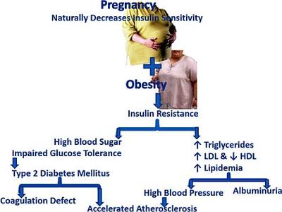 Effects of Prepregnancy Obesity